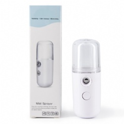Newest Mini Portable Beauty Skin Care Spray Electric Water Facial Handy Nano Mist Sprayer