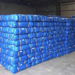 50-300gsm blue pe tarps with good quality low prices best quality standard