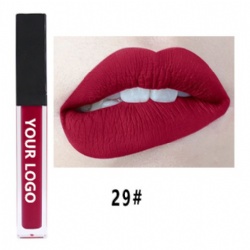 21 colors OEM private label custom matte waterproof lipstick matte lipstick
